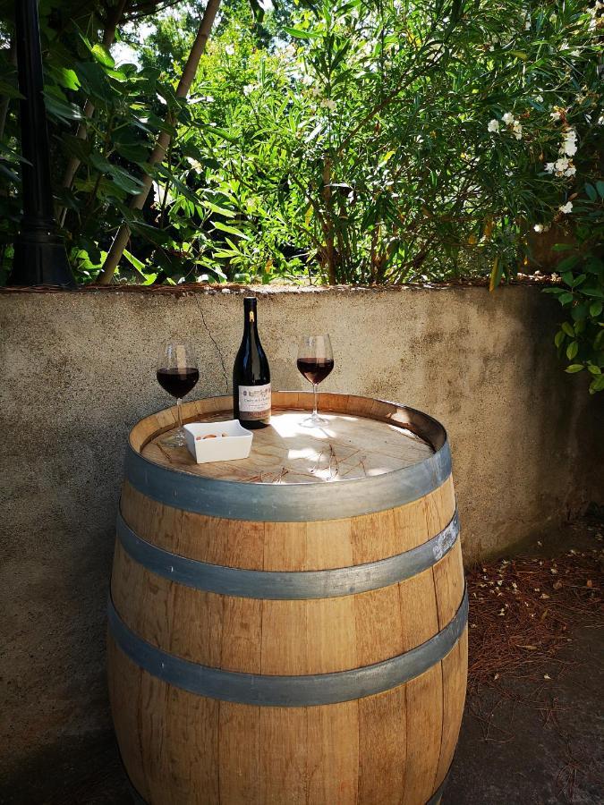 La Maison Grenadine Pres Du Canal Du Midi Tourouzelle Екстериор снимка