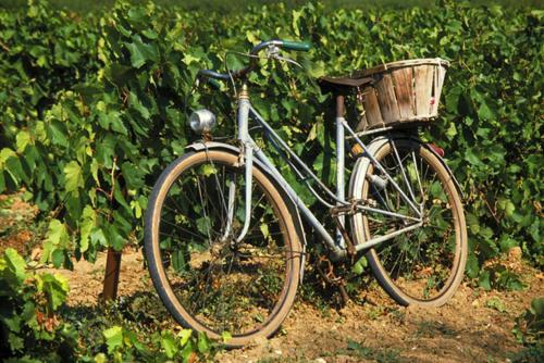 La Maison Grenadine Pres Du Canal Du Midi Tourouzelle Екстериор снимка