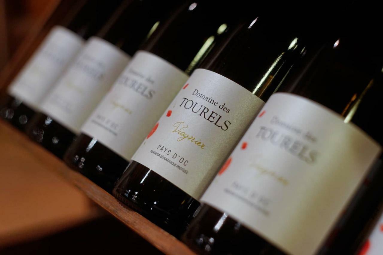 La Maison Grenadine Pres Du Canal Du Midi Tourouzelle Екстериор снимка